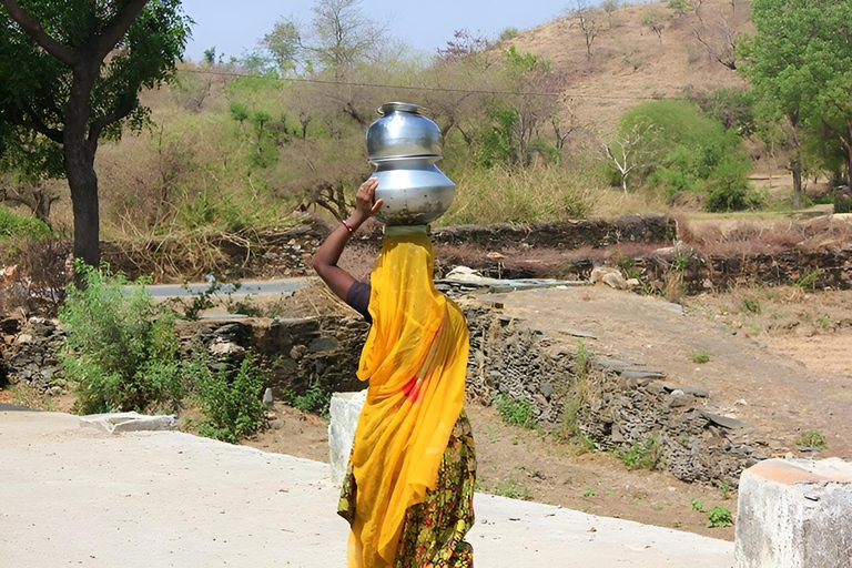 Udaipur: Private Village Tour by Tuk-Tuk or Car Village Tour by Car