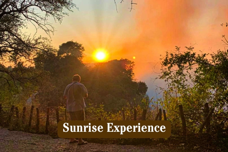Cataratas Victoria: Experiencia al amanecer(Copia de) Final abierto en rainforest cafe