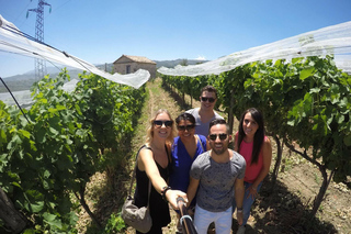 Irpinia Wine Tasting Experience