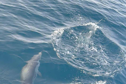 From Sotogrande: 2-Day Sailing Trip to Ceuta (Africa)