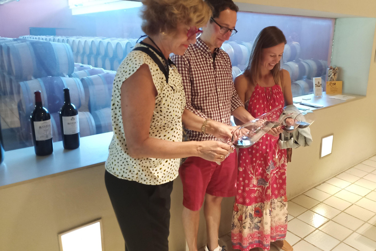 Rioja: Wine Tour with a Local Expert with Tastings