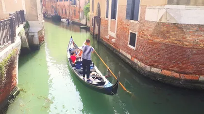 Von Mailand aus: Geführte Tagestour zu den Highlights der Stadt Venedig
