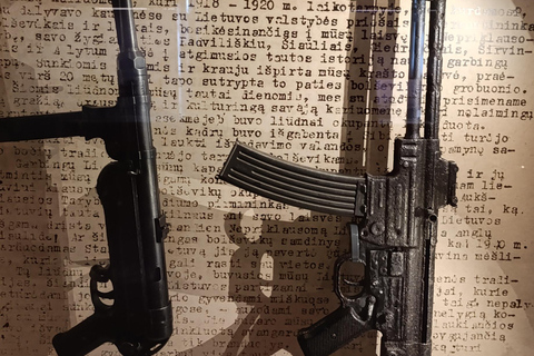 Kaunas Through Centuries: Old Town, War Museum & Ninth Fort