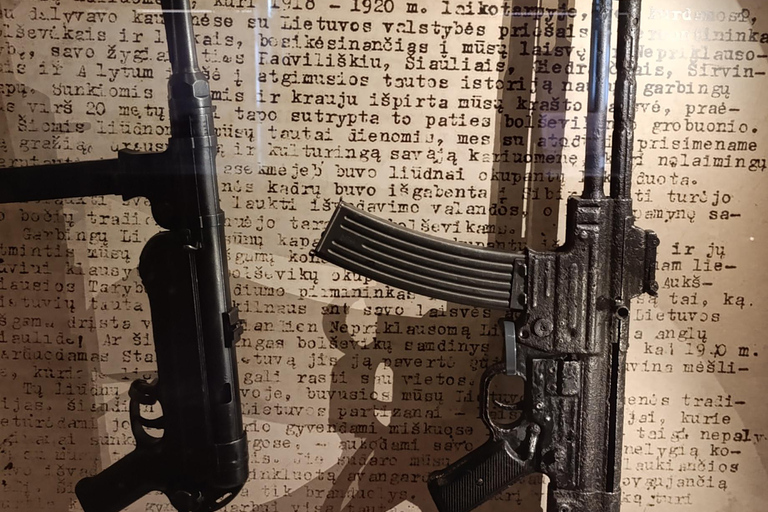Kaunas Through Centuries: Old Town, War Museum & Ninth Fort