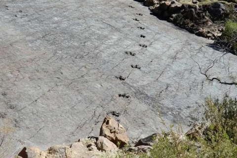 Depuis Sucre : Excursion d&#039;une journée au cratère de Maragua et aux empreintes de dinosaures