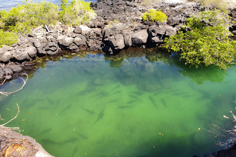 HALF DAY TOUR - SANTA CRUZ BAY - 5 AMAZING VISITING SITES