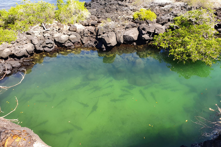 VISITE D&#039;UNE DEMI-JOURNÉE - BAIE DE SANTA CRUZ - 5 SITES DE VISITE ÉTONNANTS