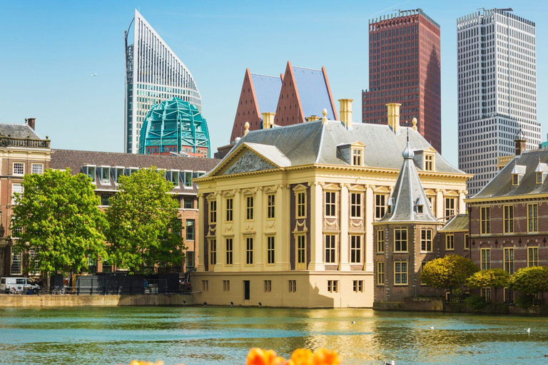 Best of The Hague: Private Walking Tour with a Local Private City Walking Tour - 3Hr