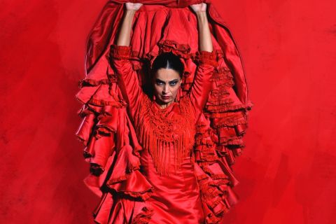 Madri: Apresentação de flamenco ao vivo "Emociones