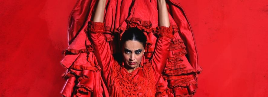 Madrid: Actuación Flamenca en Directo "Emociones