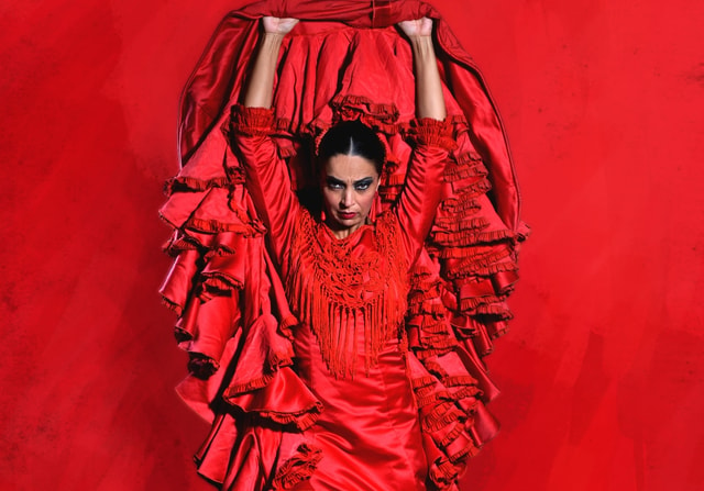 Visit Madrid "Emociones" Live Flamenco Performance in Madrid