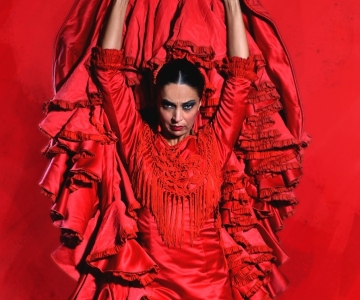 Madri: Apresentação de flamenco ao vivo "Emociones