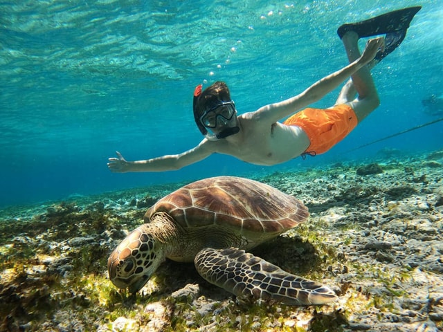 From Gili Air : Group Snorkeling Tour 3 Gili's island