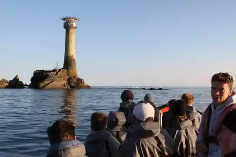 Rounding Cornwall Boat Trip Experience. (Departing Hayle)