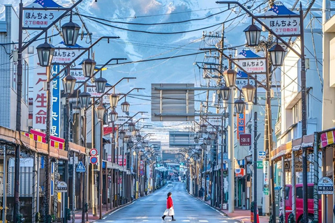 Depuis Tokyo : Mont Fuji et Hakone visite d&#039;une jounée privée