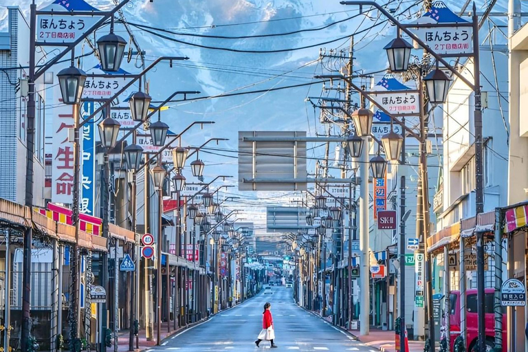 Depuis Tokyo : Mont Fuji et Hakone visite d&#039;une jounée privée