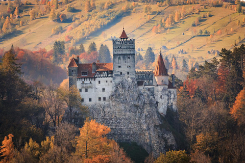 From Bucharest: Dracula's castle day trip From Bucharest: Dracula's castle day trip-english