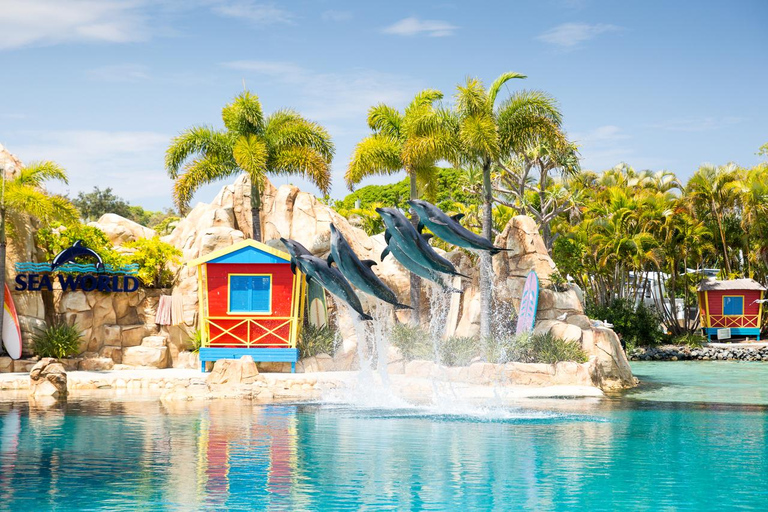 Gold Coast: Hopo Ferry & Sea World Entry Combo Ticket