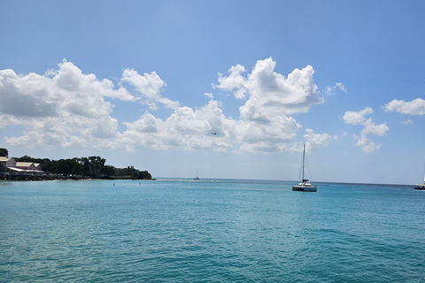 Barbados: Tour guiado panorámico privado