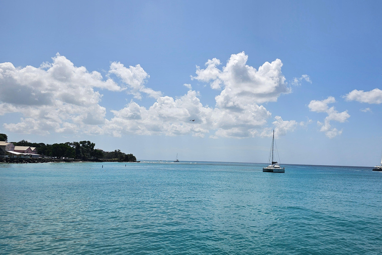 Barbados: Tour guiado panorámico privado