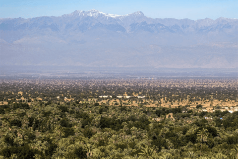 Agadir: Taroudant & Tiout Day Trip with Breakfast & Lunch