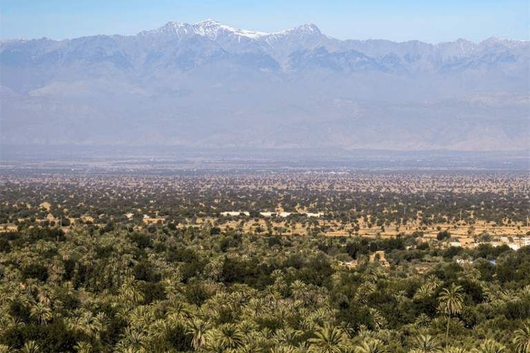 Agadir: Taroudant & Tiout Day Trip with Breakfast & Lunch