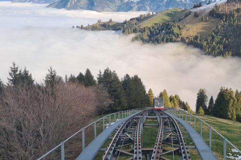 Från Montreux, Bern eller Fribourg : Gruyères-regionen TUR