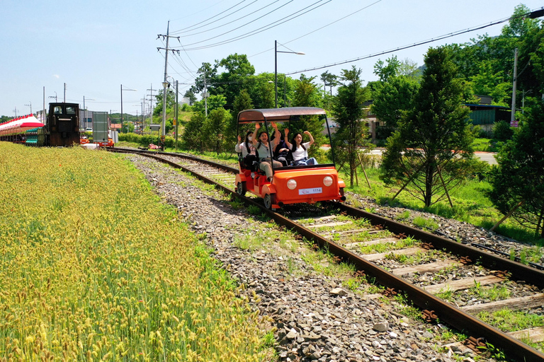 Seoraksan & Nami & Rail Bike & Morning Calm Hongik Univ. Exit 8