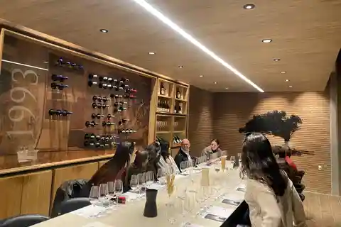 Tour privado a bodegas en Casablanca / Santiago
