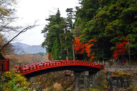 Nikko: Private Sightseeing Day Tour with Driver & Transport