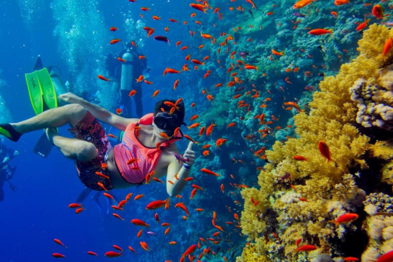 Zanzibar: Mnemba Dolphin Swim, Turtle Aquarium & Beach Trip TOUR WITHOUT HOTEL TRANSFER(PICK UP AND DROP OFF)