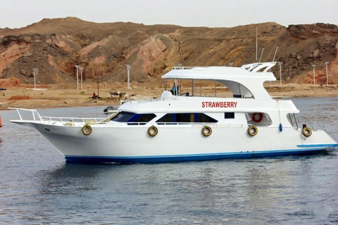 Sharm El Sheikh: Private Boat Trip Snorkeling & Diving
