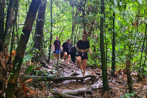 Från Krabi : Khao Sok Lake Tour i dagsutflykt