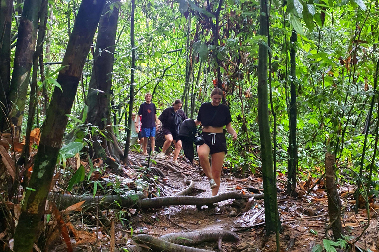 From Krabi : Khao Sok Lake Tour In Day Trip