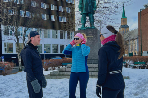Tromsø: Small Group City Walk & Cinnamon Bun at Fint Café