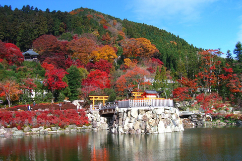 Osaka : Visite guidée du temple Katsuo-ji (Feuilles d&#039;automne)