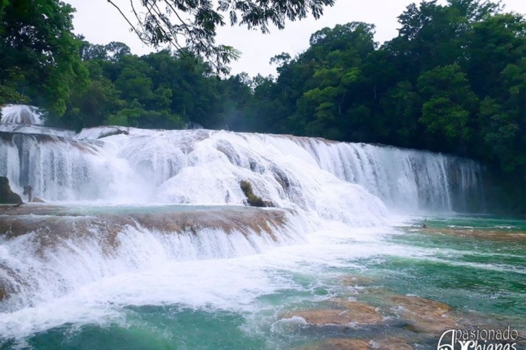 San Cristobal: Agua Azul, Misol Ha & Palenque erleben