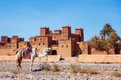 Von Agadir oder Taghazout aus: 2-tägige Sahara-Wüstentour nach Zagora