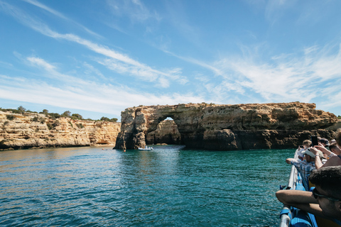 Albufeira: 2,5 ore di grotte di Benagil e osservazione dei delfiniTour di gruppo