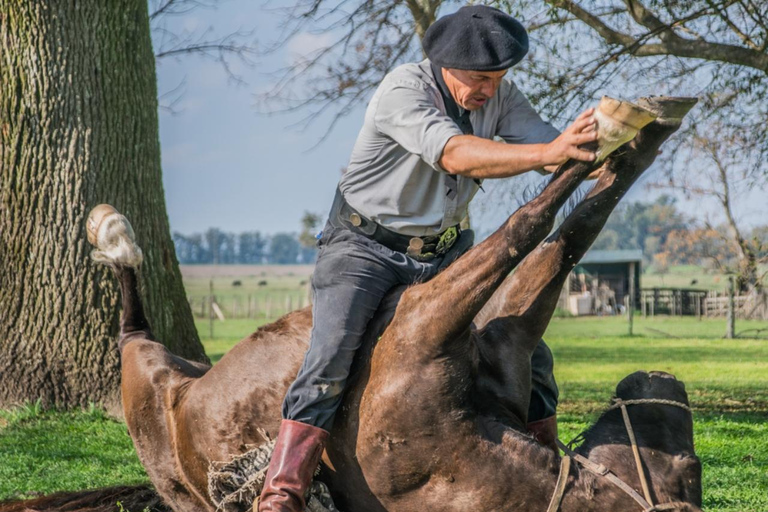 Dia Gaucho - Traditionell argentinsk estancia i utkanten av Buenos Aires