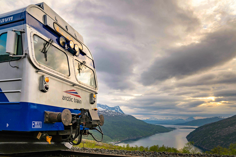 From Narvik: Arctic Train - Ofoten Line
