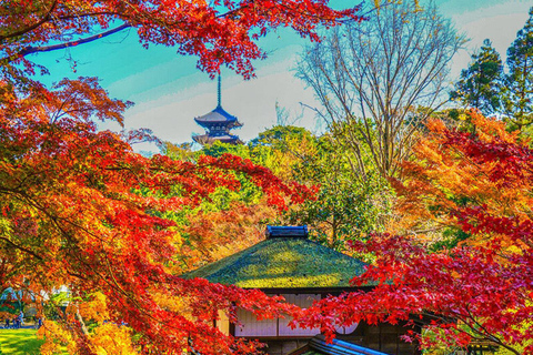 Sacred Kamakura & Yokohama Full-Day Tour with English Guide Kamakura & Yokohama Private Tour With Toyota Welfare Alphad