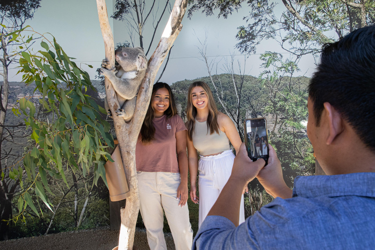 Blue Mountains: Mondo scenico, traghetto, zoo e foto di Koala