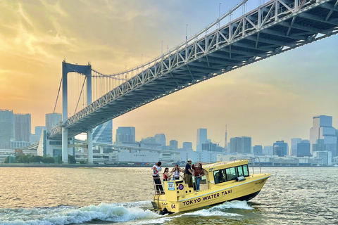 Tokyo: Panoramic Sunset Bay Cruise with Local Guide (Private Boat) Sunset Bay Cruise with Local Guide