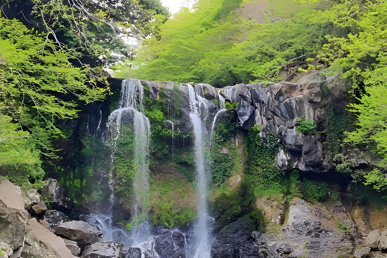 Jeju Occidental y Meridional: Excursión al Festival de la Hortensia