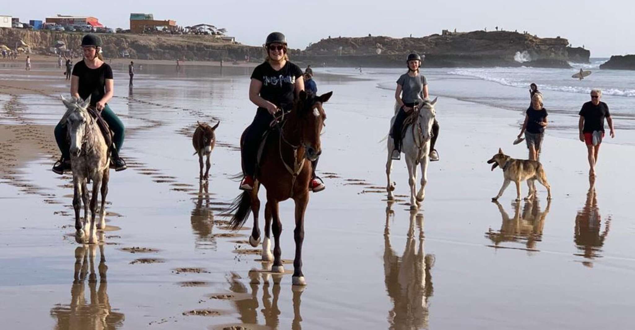 Agadir/ Taghazout, 2 heures de promenade à cheval sur la plage - Hizvo