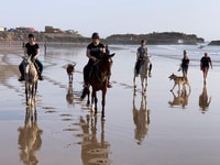 Agadir/ Taghazout, 2 ore a cavallo sulla spiaggia - Hizvo