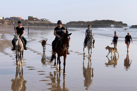 Agadir e Taghazout: Passeio a cavalo de 2 horas na praia ao pôr do solTour de 2 horas em inglês, francês, alemão ou polonês