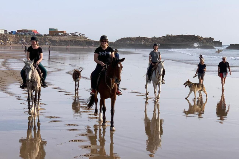 Agadir och Taghazout: 2 timmars ridtur på solnedgångsstranden2 timmars rundtur på engelska, franska, tyska eller polska