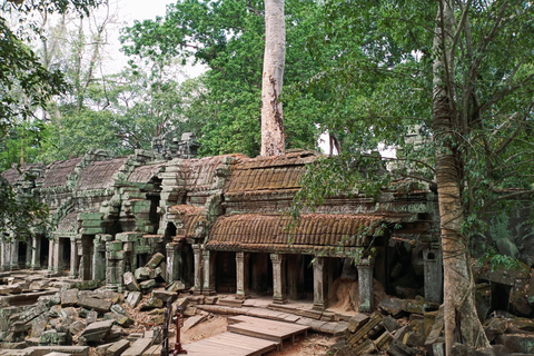 L&#039;alba ad Angkor Wat con un gruppo di condivisione